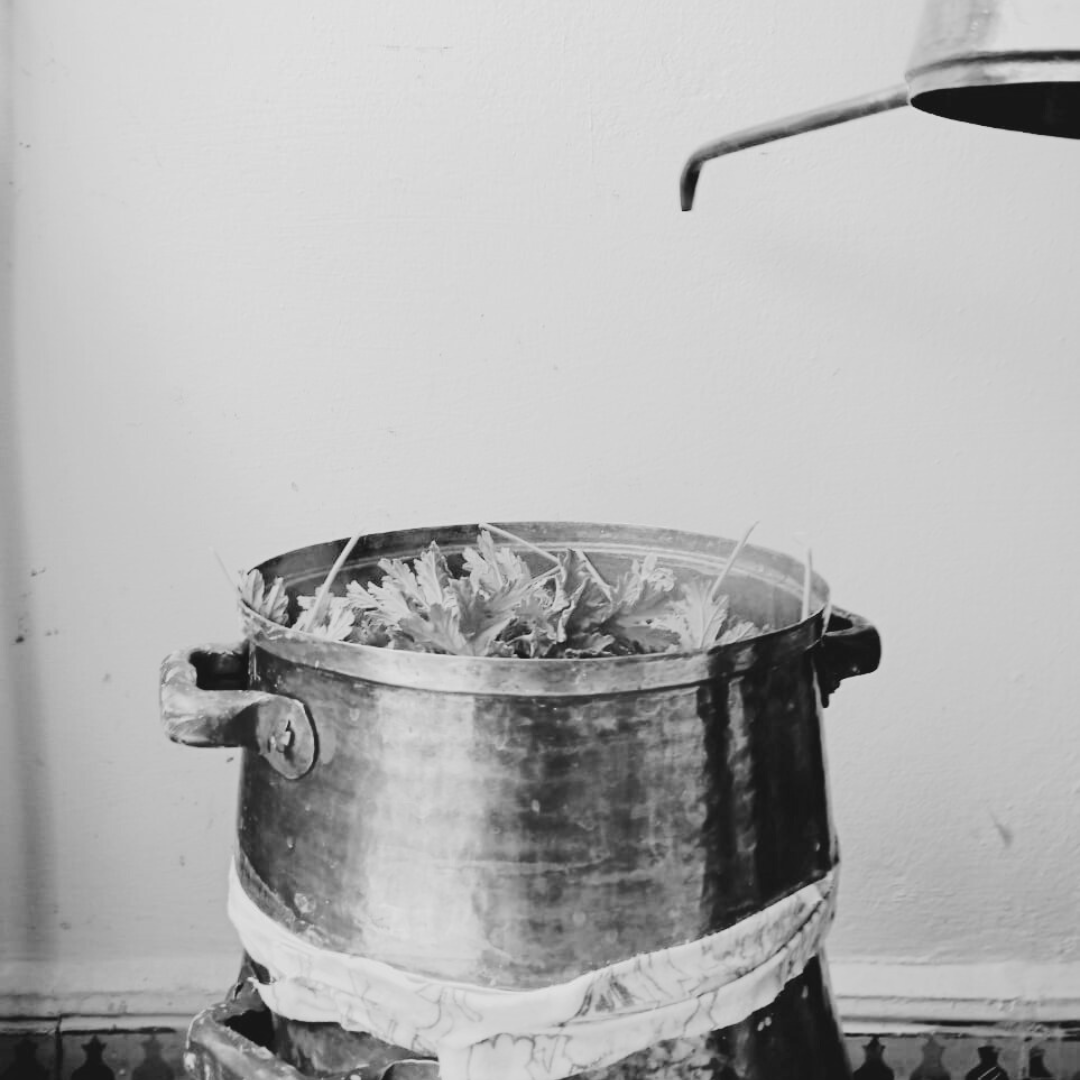 Moroccan women preserve ancestral alchemy through scent, spirit, and science in a hands-on workshop blending tradition, spirituality, and cultural heritage within the timeless heart of the Medina.